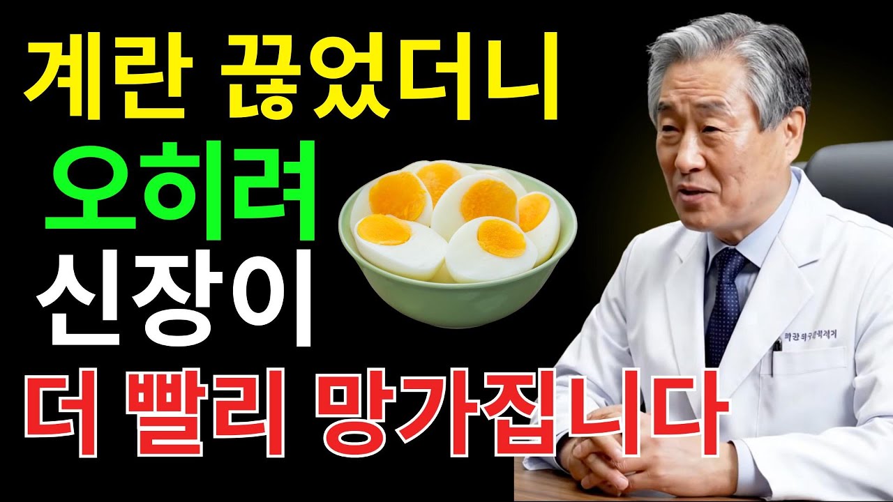 달걀, 신장을 망친다는 오해의 진실｜매일 계란을 먹은 노인의 반전 결말과 신장을 살리는 단백질 1:1 법칙｜백세건강