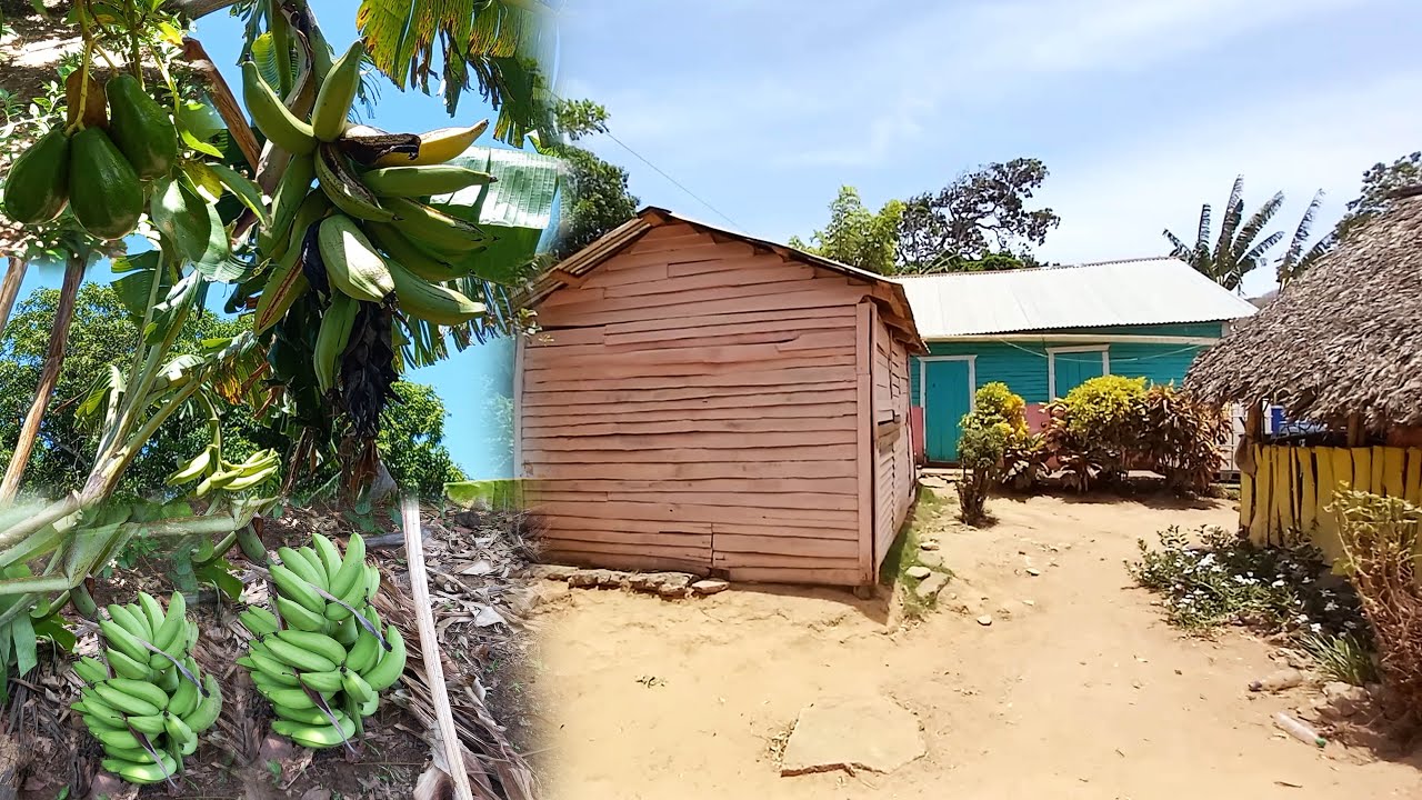 La vida del campo en Aventura por Cambiaso, La vida del campo