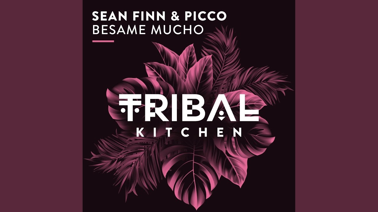 Besame Mucho (Extended Mix)