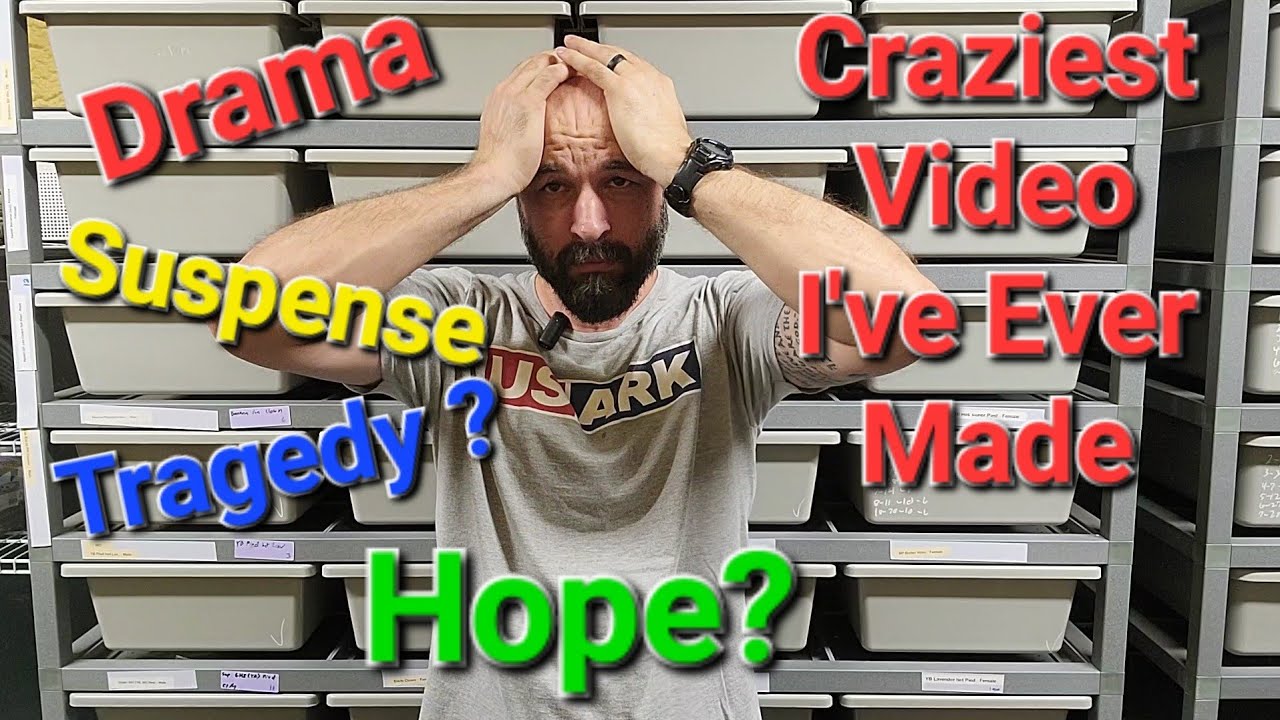 Самое безумное видео с решающим моментом, которое я когда-либо снимал! Совершенно не ожидал такого!