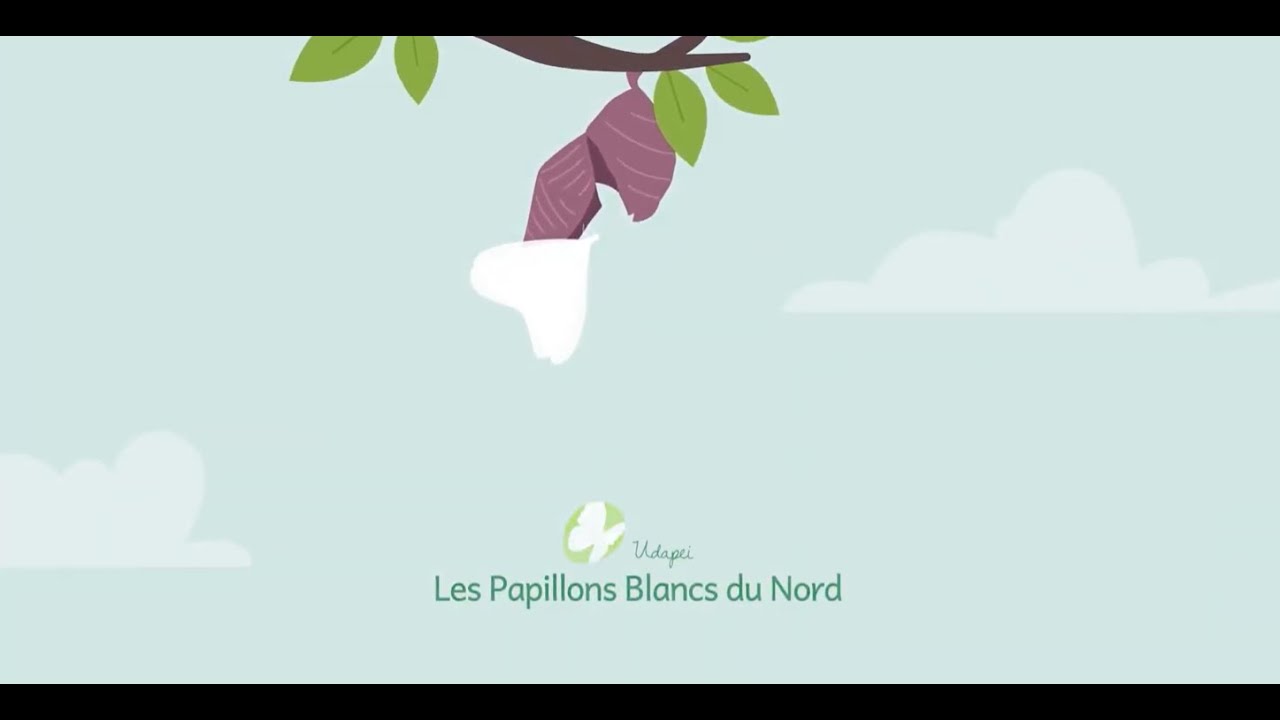 L'Udapei Les Papillons Blancs du Nord