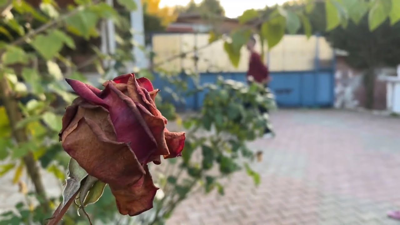 Çatalca ya doğru 😊