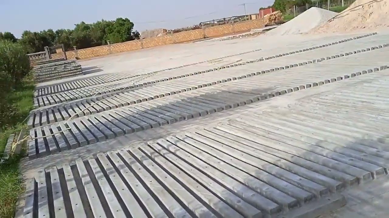 شوفوا معانا خوتي بداية اشغال تجهيز مشروع عنب موسكا وفكتوريا على طريقة بركولا