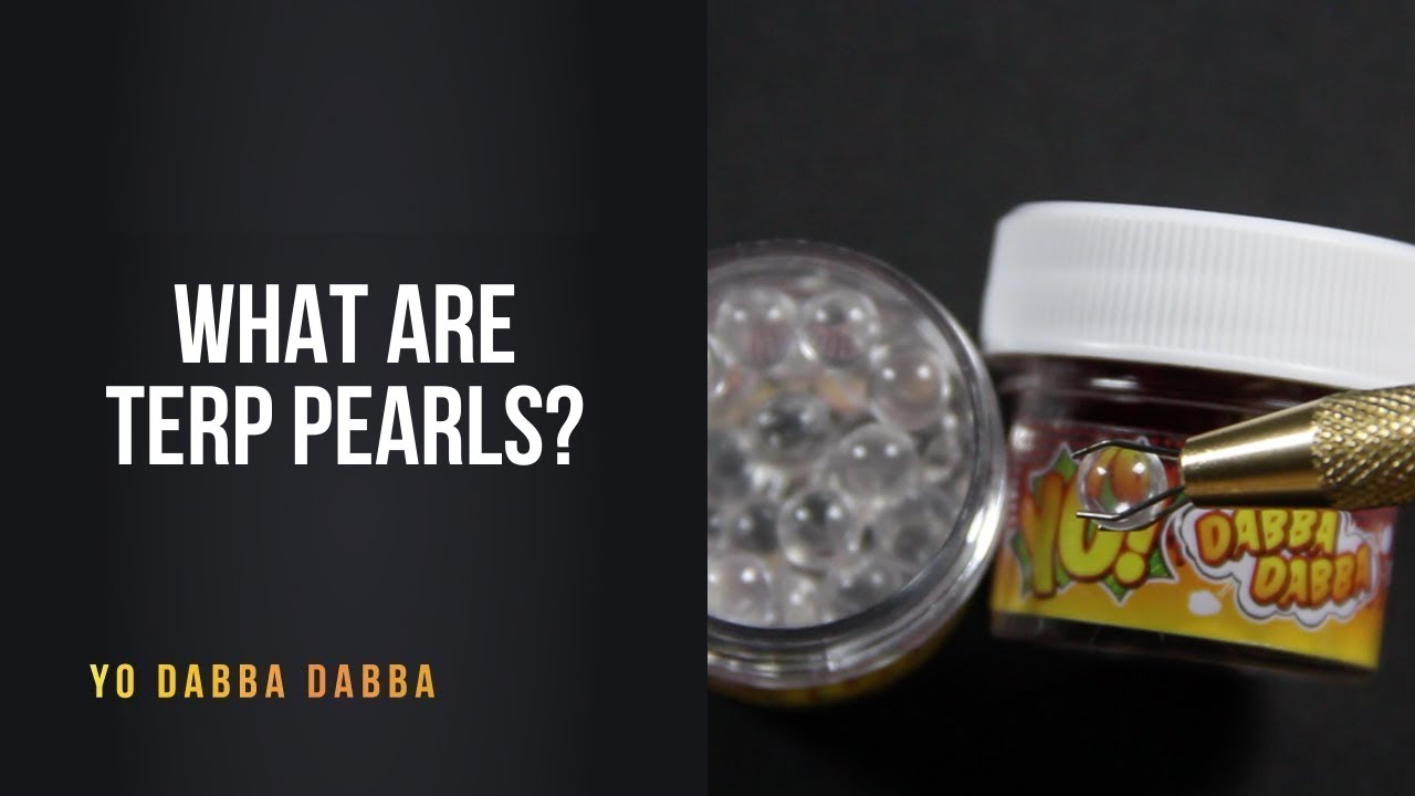 What are Terp Pearls? | Yo Dabba Dabba