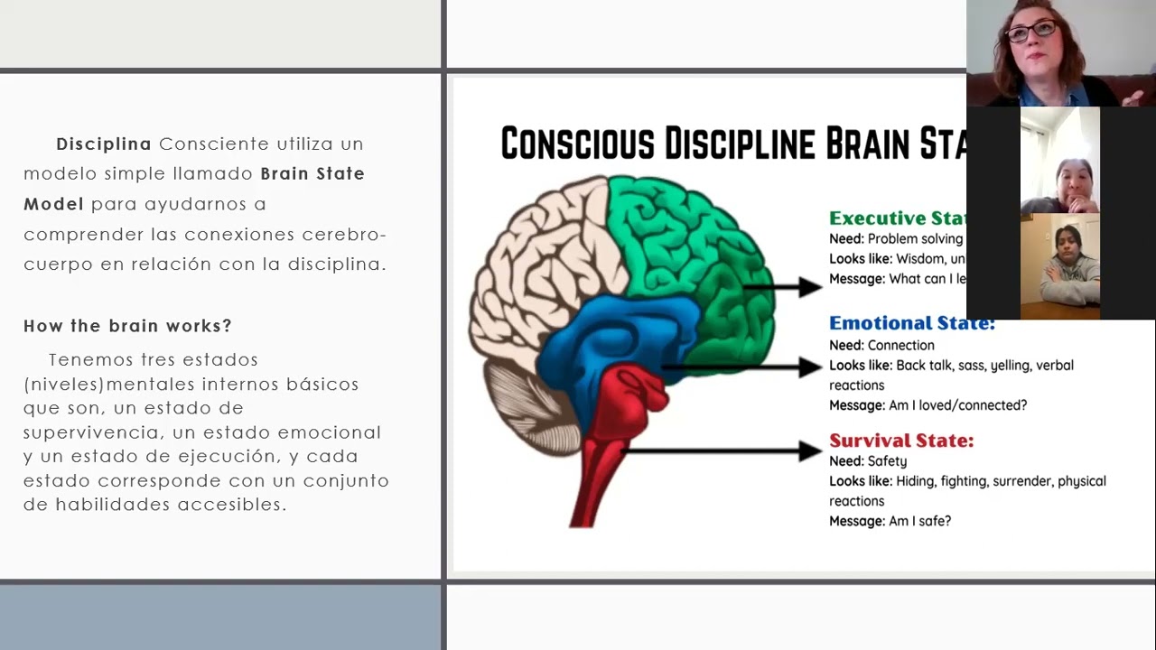 Disciplina Consciente