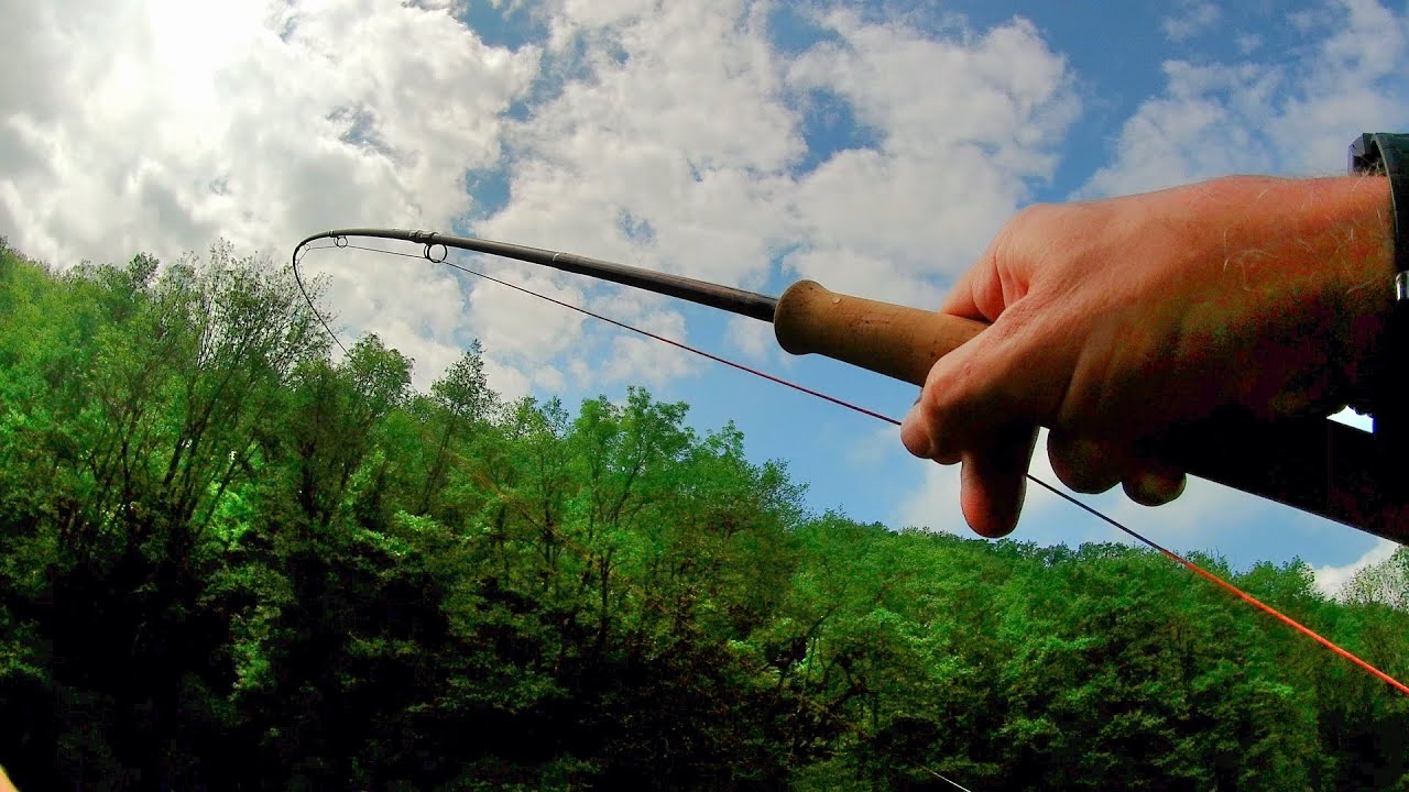 Wędkarstwo muchowe z wędką trout spey na klenie i jelca
