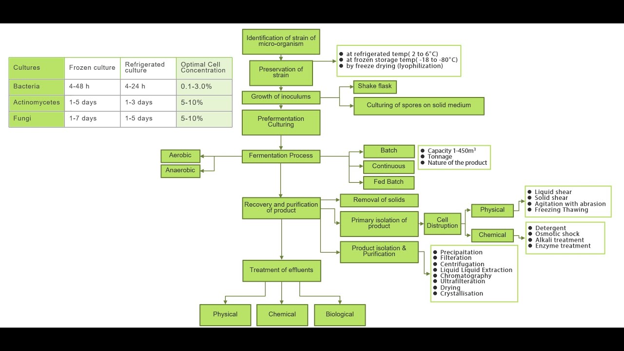 Integrated Bioprocess