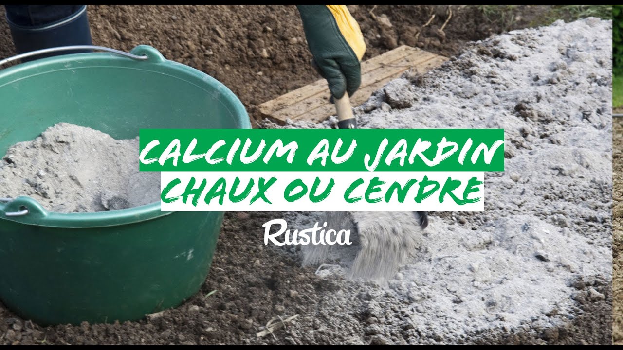 Calcium au jardin : chaux ou cendre de bois ?