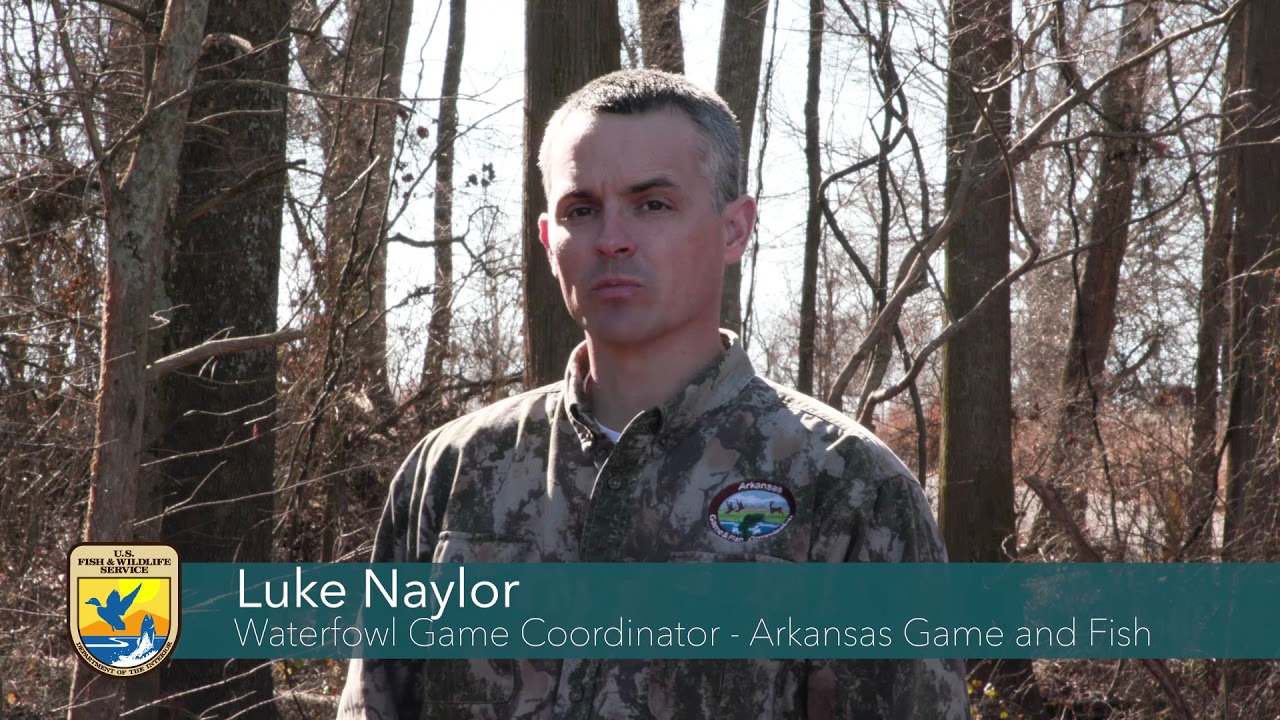 Meet the Partners of Cache River National Wildlife Refuge