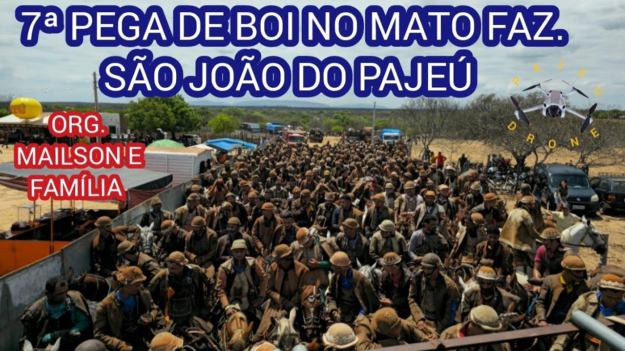 (DRONE)7&ordf; PEGA DE BOI NO MATO FAZ. S&Atilde;O JO&Atilde;O DO PAJE&Uacute; FLORESTA-PE ORG. MAILSON E FAM&Iacute;LIA 