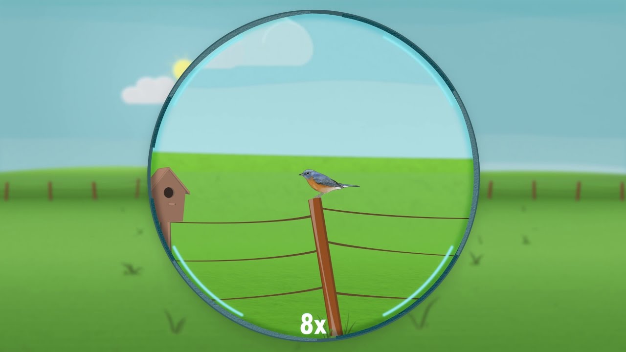 Understanding Binoculars: Magnification and Stability