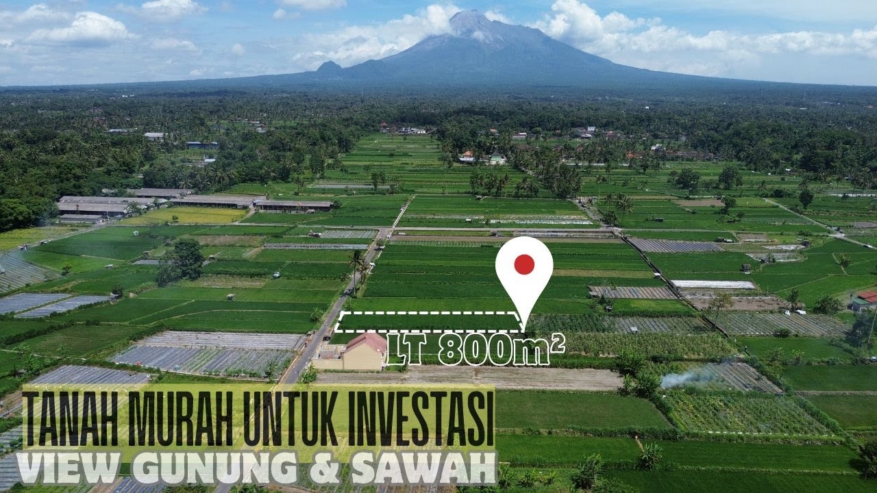 Dijual Tanah SHM Sawah 800 m² | LD 15m | Mangku Aspal View Gunung | Wedodomartani Sleman | SB EPS584