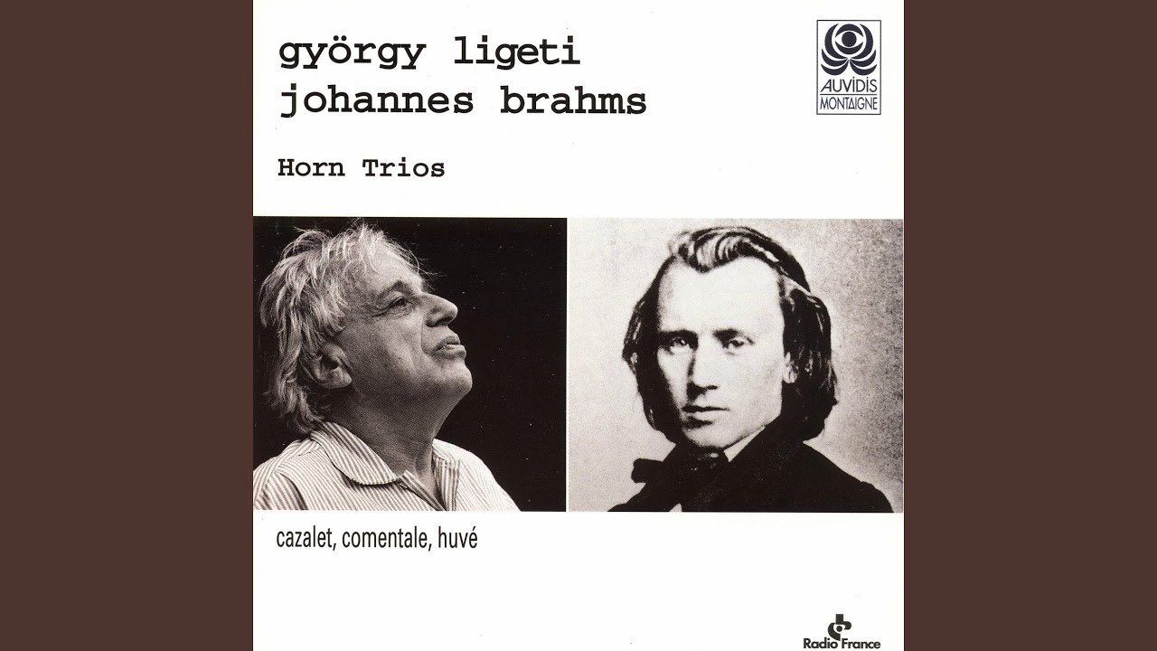 Horn Trio in E-Flat Major, Op. 40: I. Andante