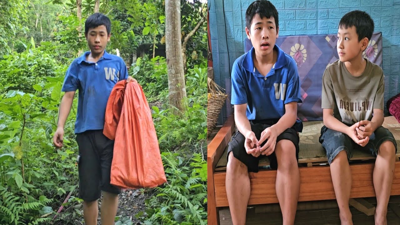 Путешествие в поисках голубей мальчика-сироты по имени Лам