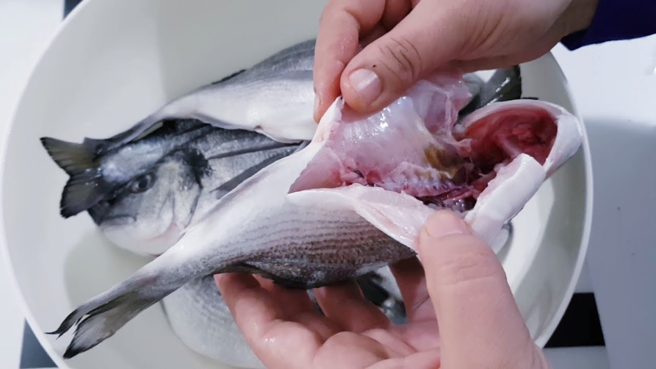 🐟DONDURUCUDA  Lezzeti Kaçmadan BALIK Nasıl  SAKLANIR?🐟🦈🐟