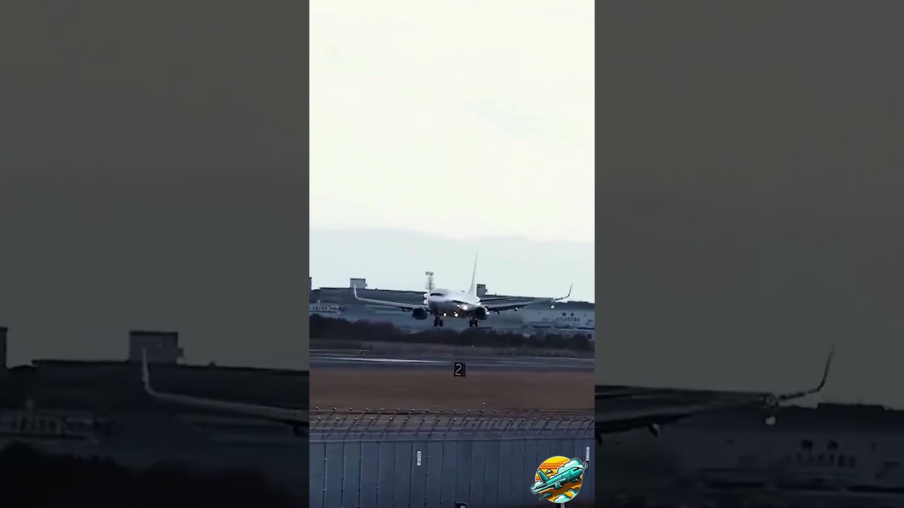 ANA EXTREME crosswind landing!  #aviation ✈️🛬💨⚠️🔥