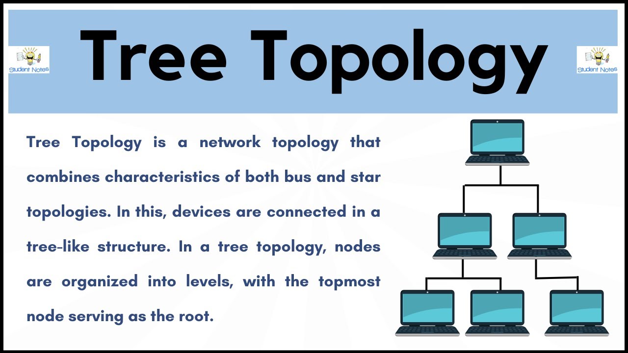 What is Tree Topology in Hindi | Computer Topologies (Student Notes)