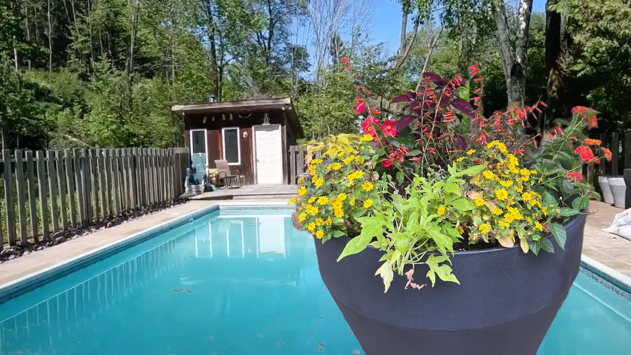Pool planter makeover