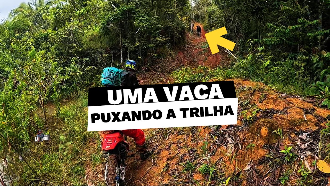 TRILHÃO MORRINHOS | O MELHOR PERCURSO QUE JÁ FIZ EM RONDÔNIA