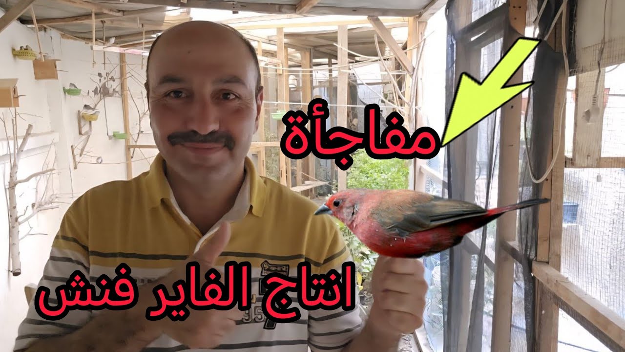 انتاج جديد وجولة داخل المحمية 