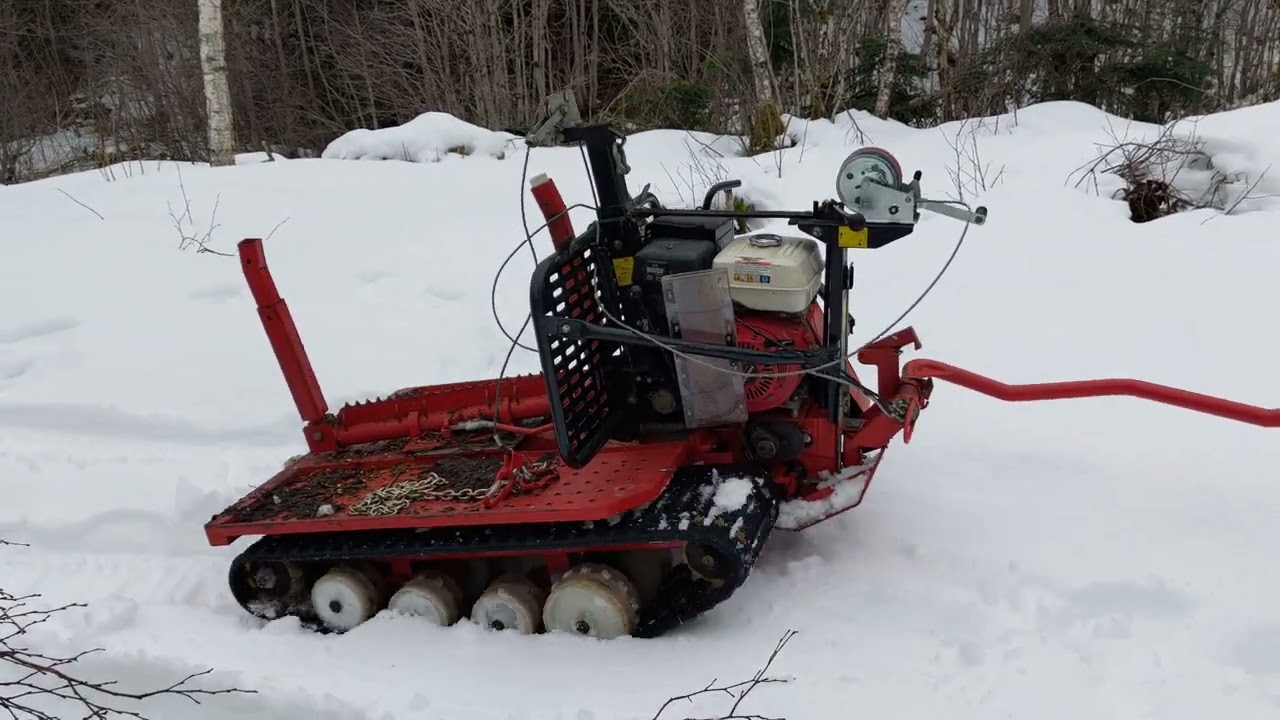 jernhest 2 26.02.2022