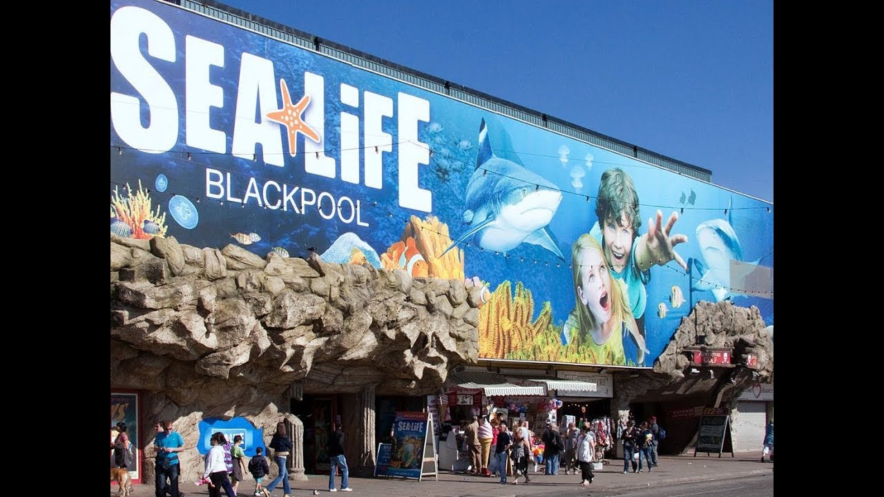 SEA LIFE BLACKPOOL VLOG, JULY 2019