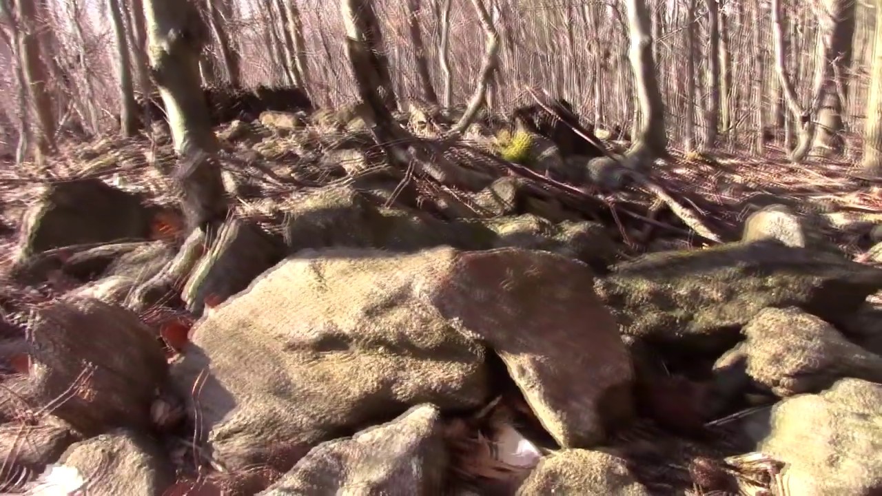 Jakie czasy-taki film z Riese