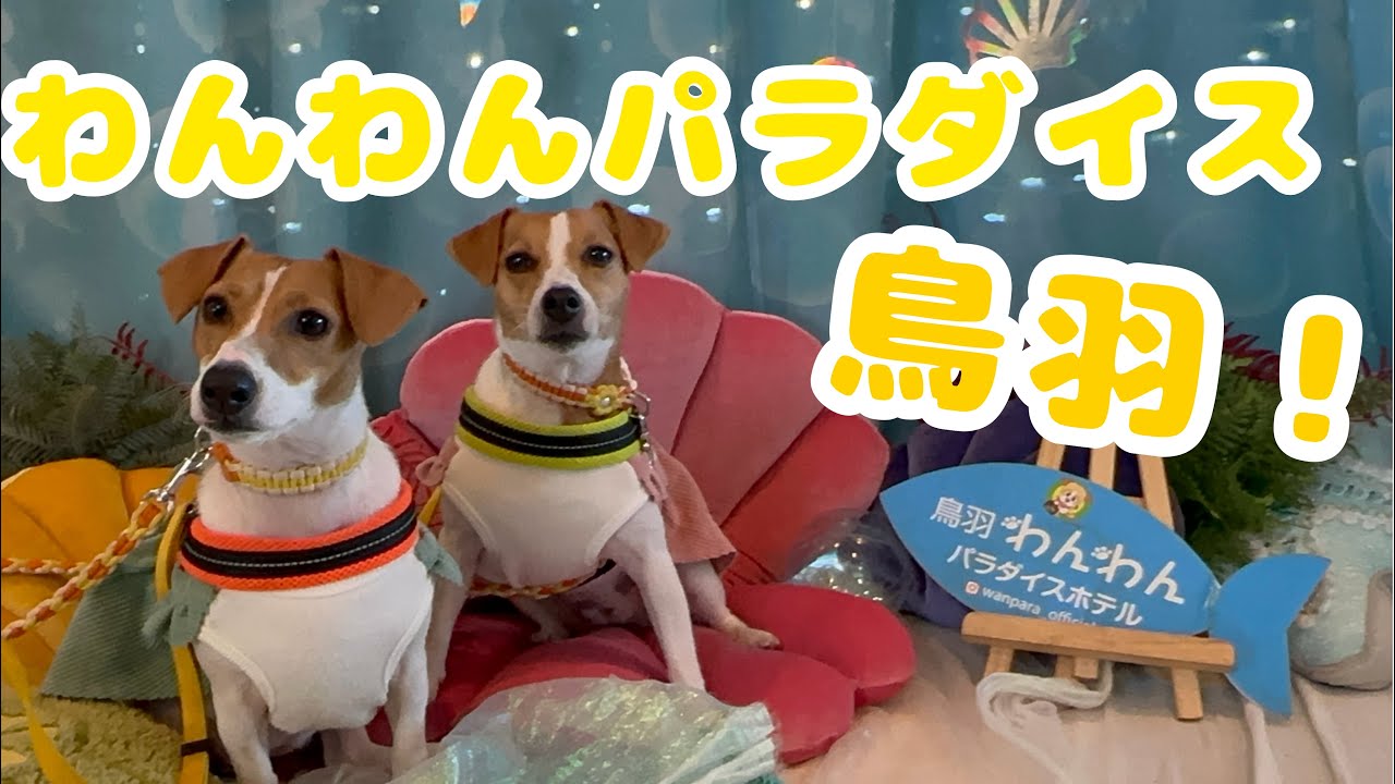 柑橘姉妹、わんわんパラダイス鳥羽へ行く！