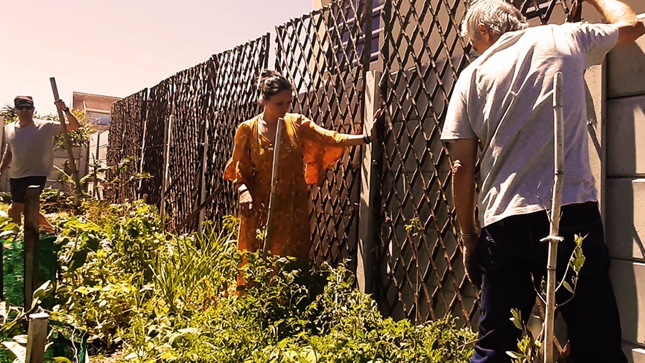 Increasing Our Growing Space Vertically