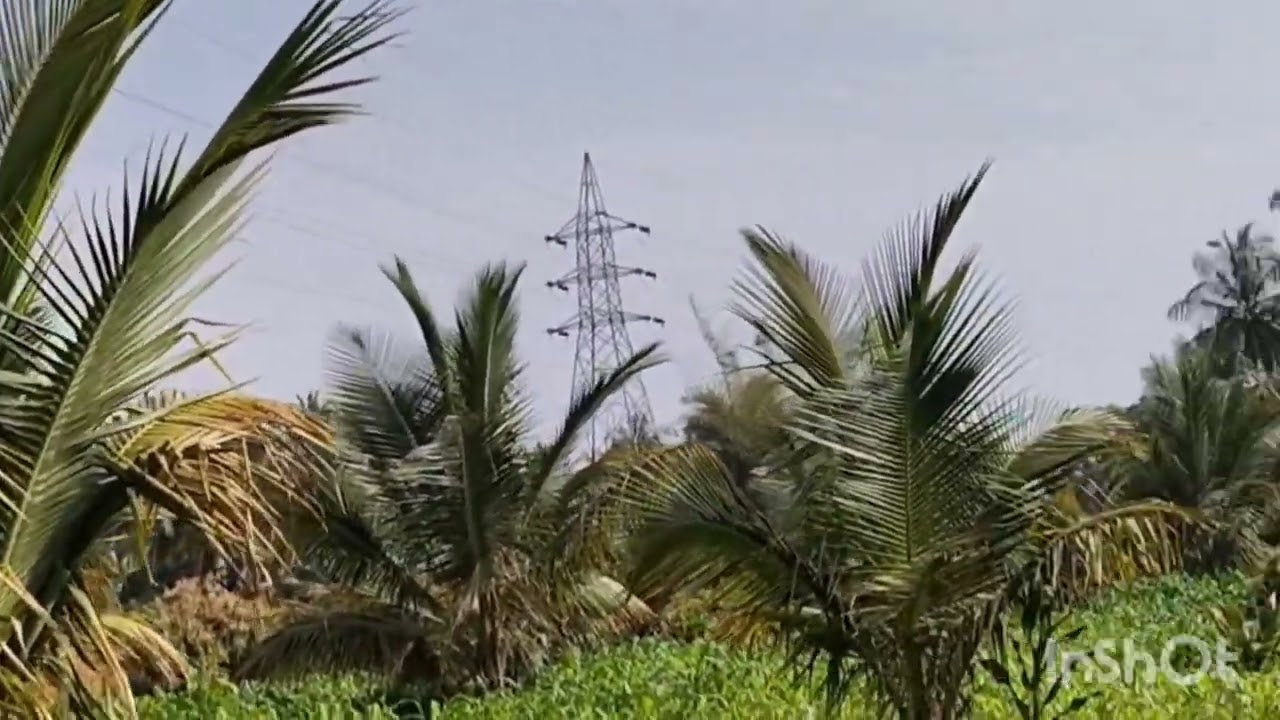 N p properties 2 acre  14 gunte  black soil  32  lakhs per acre  6360446978  general property 