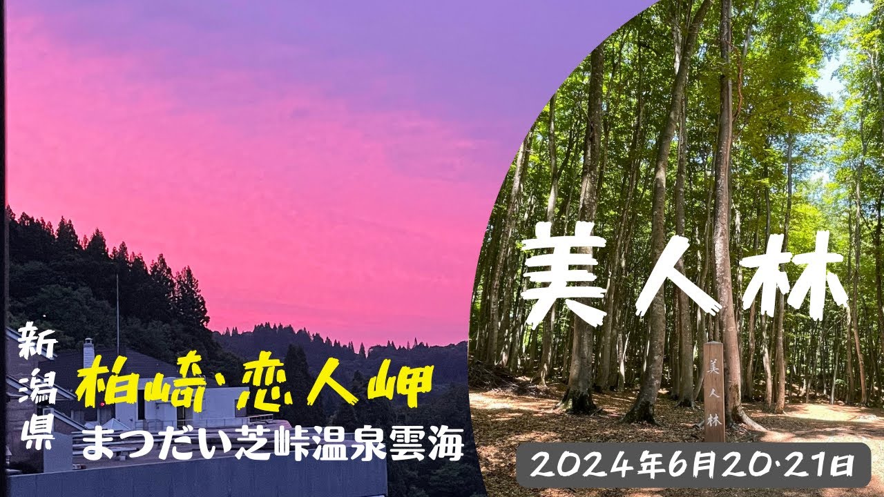 【新潟旅行・新潟観光・美人林】まつだい・芝峠温泉・雲海【柏崎・恋人岬・野鳥のさえずり】