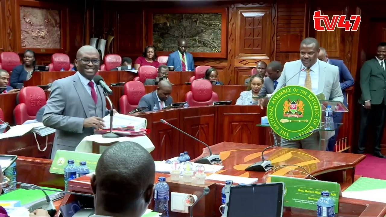 Back and forth between MP Wamboka Wanami and CS Mithika Linturi's lawyer Muthomi Thiankolu