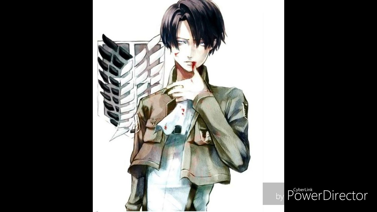 (AOT) Levi Ackerman x Listener
