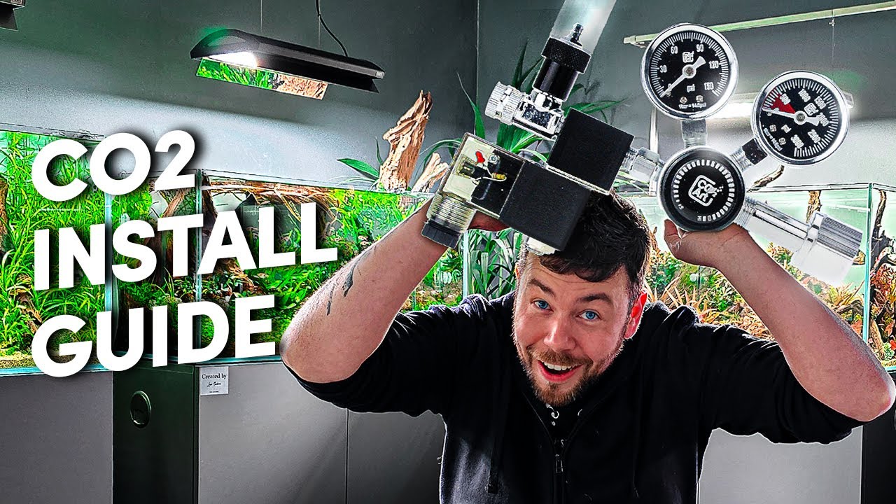 Aquarium CO2 How to Install & Tips: Beginner's Guide