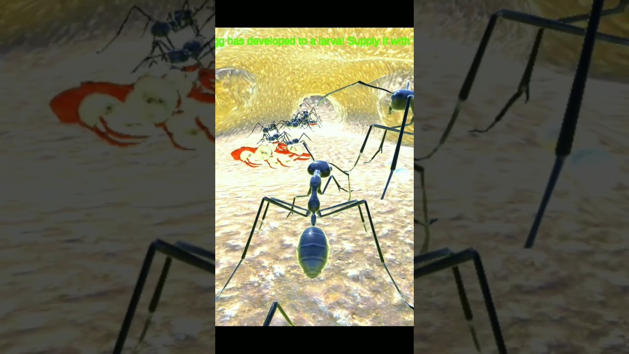 ant Queen 