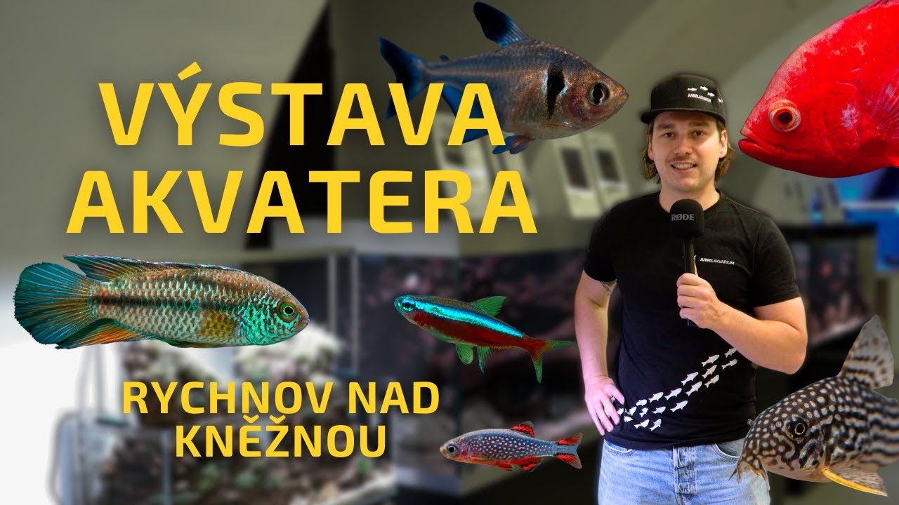 Výstava AkvaTera Rychnov nad Kněžnou 2024