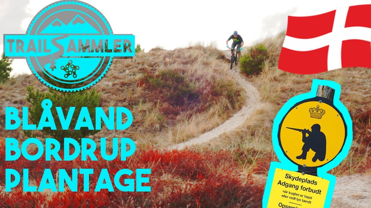 Blavand Bordrup Plantage | Mountianbiken in Dänemark zu steil um zu fahren?