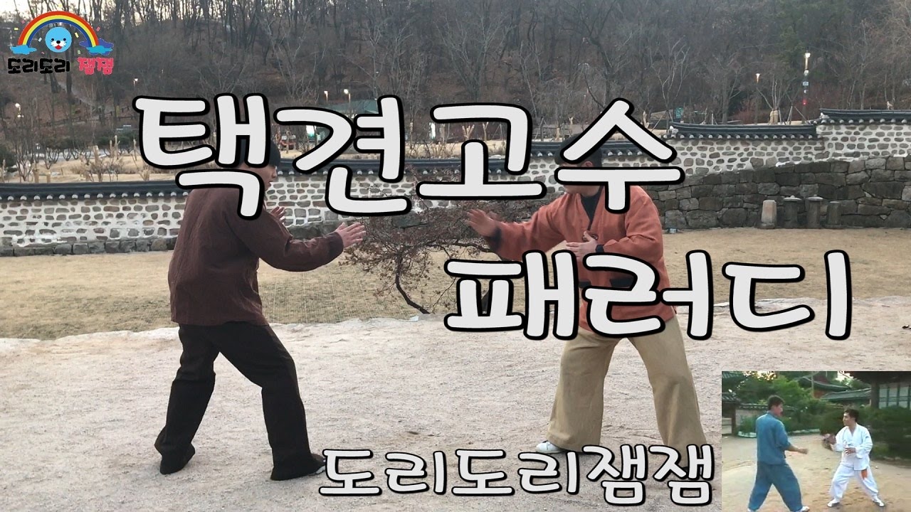 [돌잼] 택견고수 패러디 재밌게봐주세용 ※꼭!! 끝까지 봐주세용