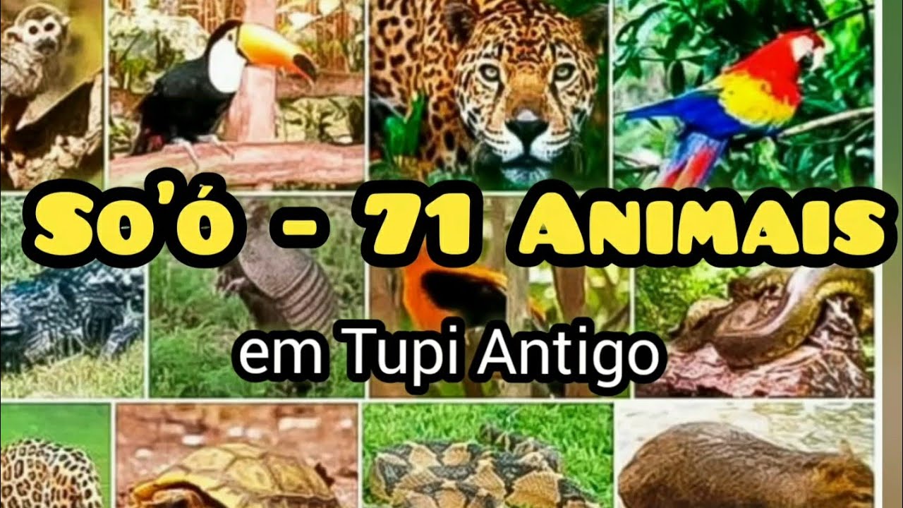 TUPI ANTIGO - So'ó - 71 ANIMAIS