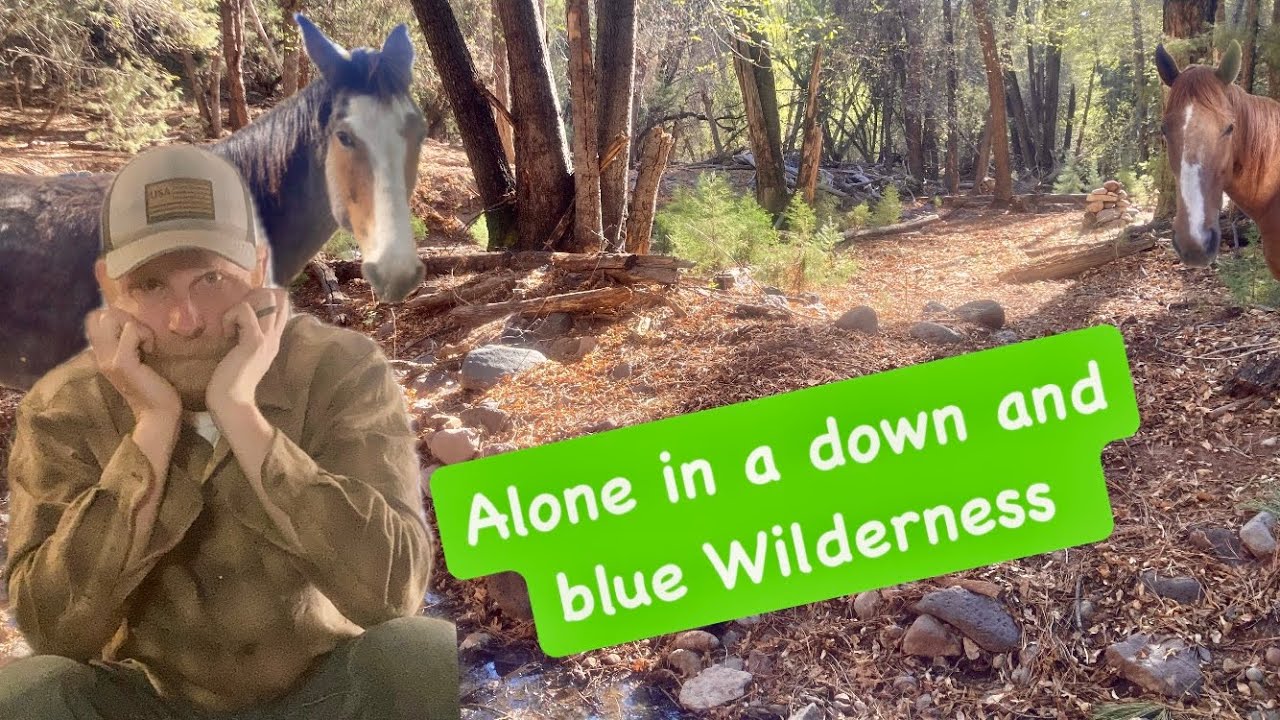 Alone for Days in a Blue Wilderness