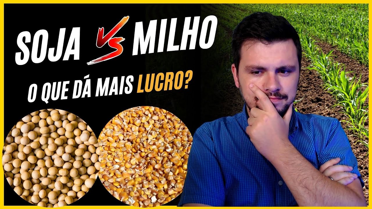 SOJA ou MILHO: O que é mais LUCRATIVO?