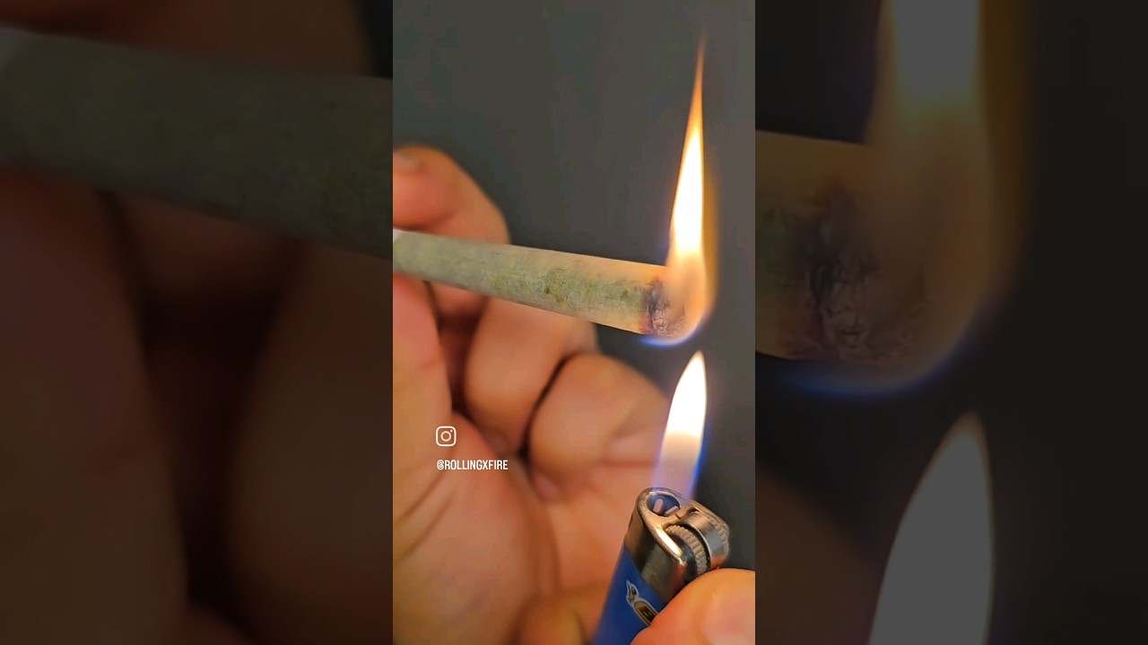 BEST PRE ROLLS❗️ Jungle Boys  🔥💨   #pesopluma #jungleboys #420