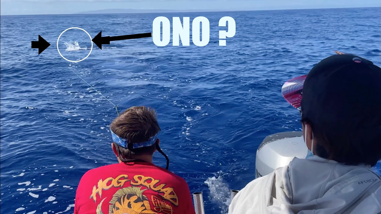Fishing ONO (WAHOO) and Kahala In maui (Bow and arrow GAFF?)