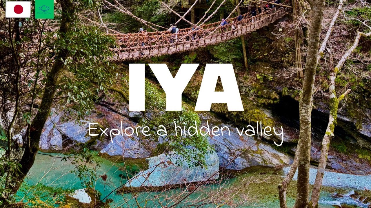 Trip to IYA 🇯🇵/ Explore Hidden Valley in Japan / Kazurabashi / Oboke Gorge / Japan Travel 4K VLOG