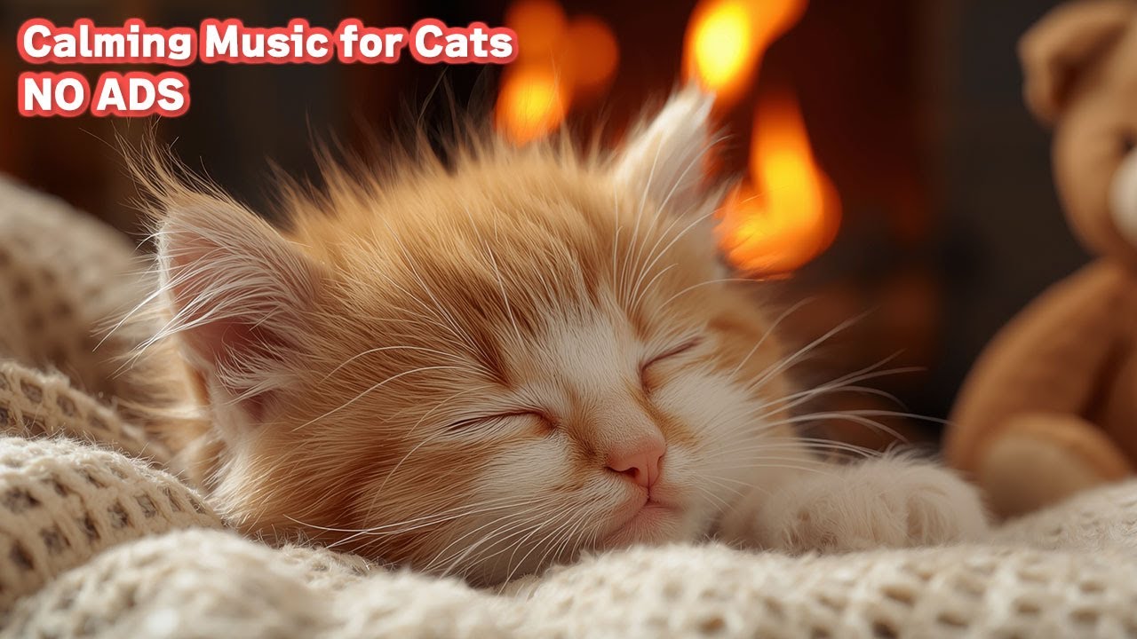Music for Cats to Go to Sleep 🐈 12 Hours No Ads - Cat Sleep Music & Purring / vol.5