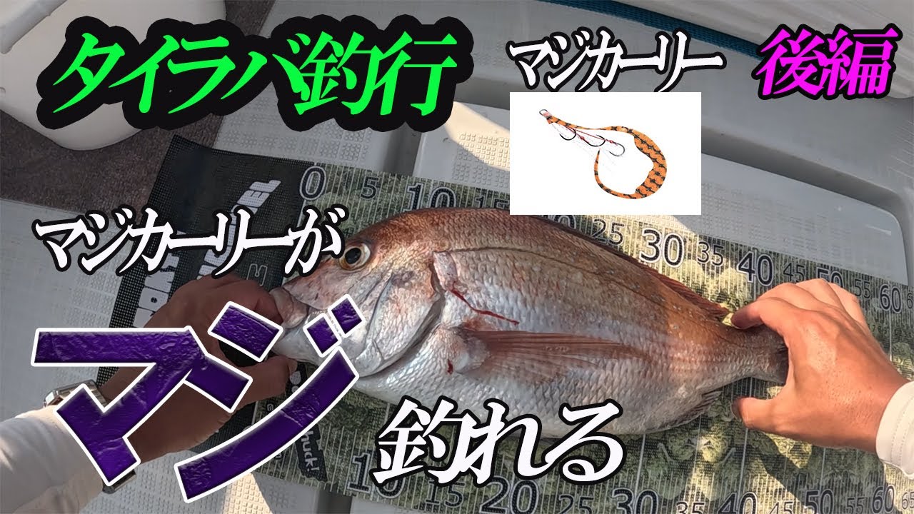 【STARTマジカーリー】タイラバ釣行 後編STARTのマジカーリーがマジ釣れる！ぶっ飛びメジャー入魂
