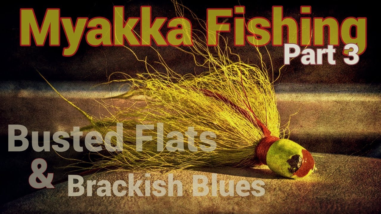 Fishing Myakka River Series | Part 3: Busted Flats & Brackish Blues