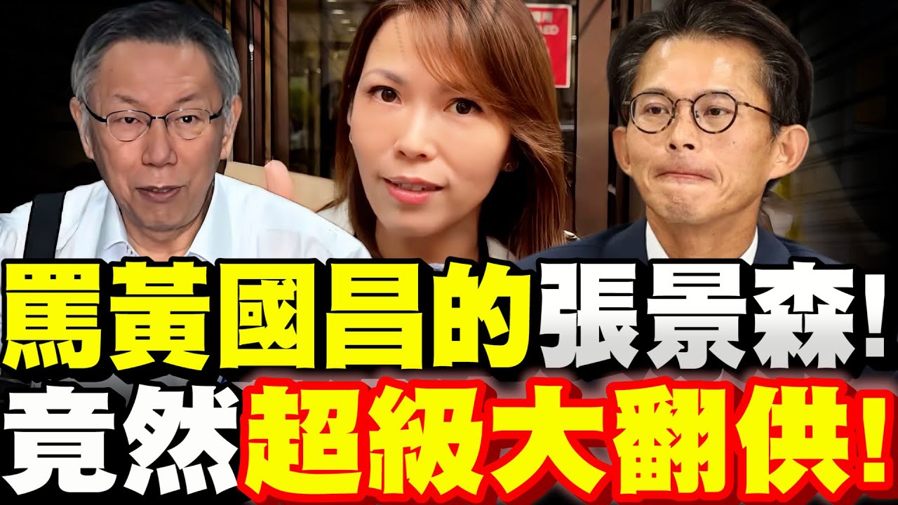 【全字幕】柯案大翻供！罵黃國昌狗仔頭的張景森今天出庭！竟然超級大翻供！陳智菡一手最新內幕！每一句話～都在幫柯Ｐ！#柯文哲案#阿北#柯P#京華城