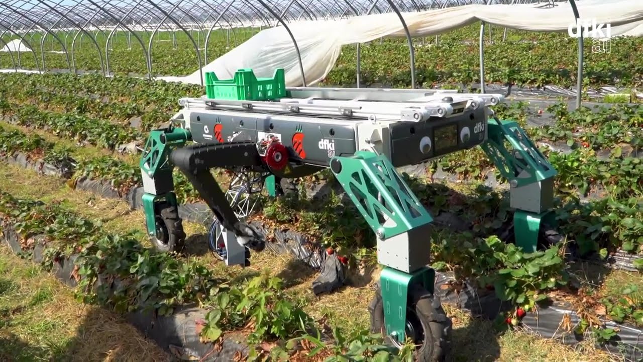 RoLand: Strawberry picking robot SHIVAA with improved picking rate