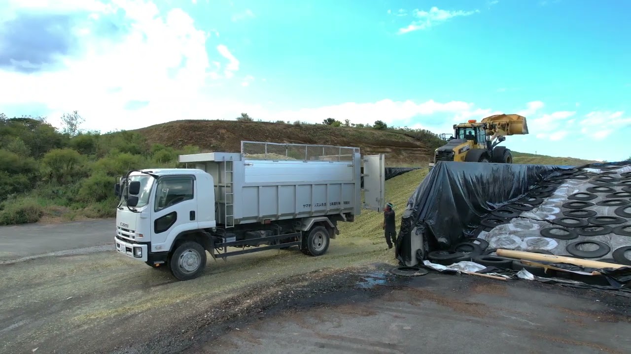 2025.9.16~デントコーン収獲が始まりました。